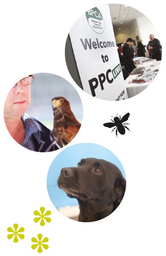 Whats happening at PPC Live 2018 Whats happening at PPC Live 2018